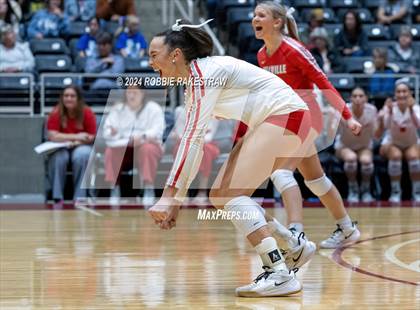 Thumbnail 3 in Bellville vs. Decatur (UIL 4A Volleyball Division I Final) photogallery.