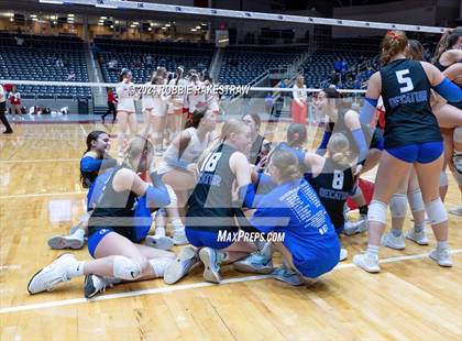 Thumbnail 2 in Bellville vs. Decatur (UIL 4A Volleyball Division I Final) photogallery.