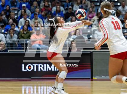 Thumbnail 2 in Bellville vs. Decatur (UIL 4A Volleyball Division I Final) photogallery.