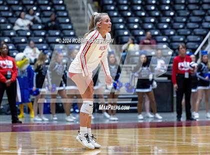 Thumbnail 2 in Bellville vs. Decatur (UIL 4A Volleyball Division I Final) photogallery.