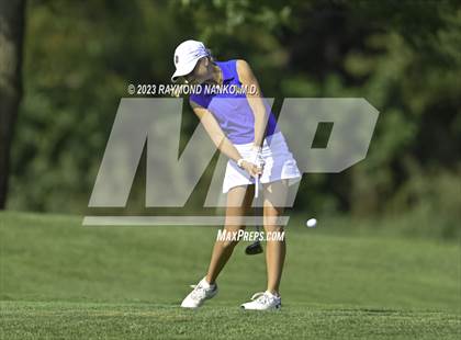 Thumbnail 2 in Homestead v Yorktown  photogallery.
