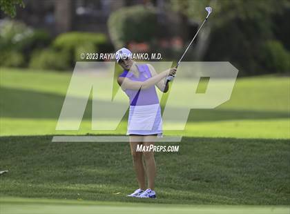 Thumbnail 2 in Homestead v Yorktown  photogallery.