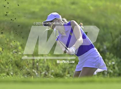 Thumbnail 3 in Homestead v Yorktown  photogallery.