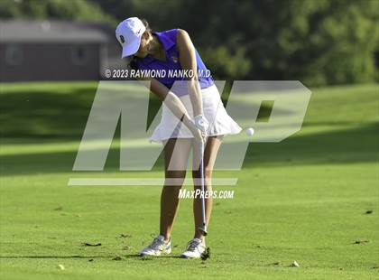 Thumbnail 1 in Homestead v Yorktown  photogallery.