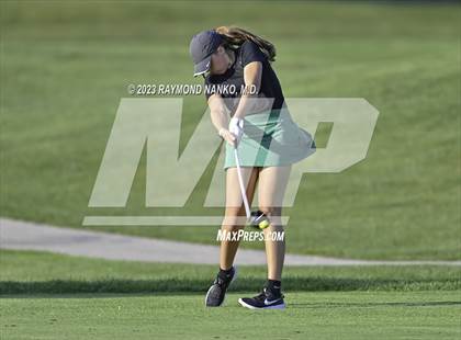 Thumbnail 2 in Homestead v Yorktown  photogallery.