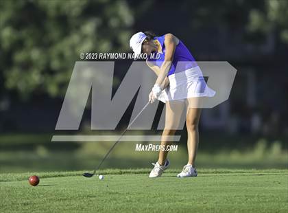 Thumbnail 2 in Homestead v Yorktown  photogallery.