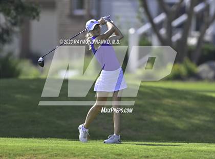 Thumbnail 1 in Homestead v Yorktown  photogallery.