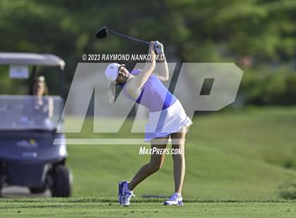 Thumbnail 1 in Homestead v Yorktown  photogallery.