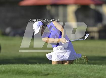 Thumbnail 1 in Homestead v Yorktown  photogallery.