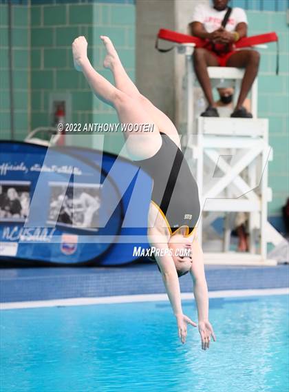 Thumbnail 1 in NCHSAA 1A/2A State Diving Championships photogallery.