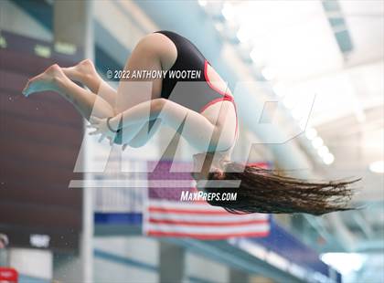 Thumbnail 1 in NCHSAA 1A/2A State Diving Championships photogallery.