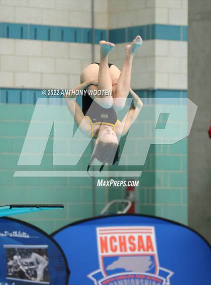 Thumbnail 1 in NCHSAA 1A/2A State Diving Championships photogallery.