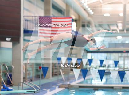 Thumbnail 1 in NCHSAA 1A/2A State Diving Championships photogallery.