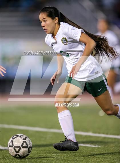 Thumbnail 3 in Canyon vs. Marymount (CIF SS D3 Playoff) photogallery.
