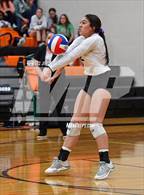 Photo from the gallery "Shiner vs. Thrall (UIL 2A Region 4 Area Playoff)"