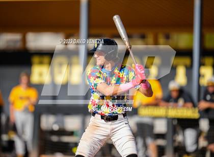 Thumbnail 1 in Marcos de Niza @ Saguaro  photogallery.