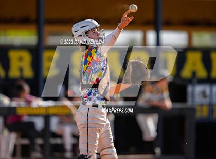 Thumbnail 3 in Marcos de Niza @ Saguaro  photogallery.
