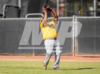 Thumbnail 1 in Marcos de Niza @ Saguaro  photogallery.