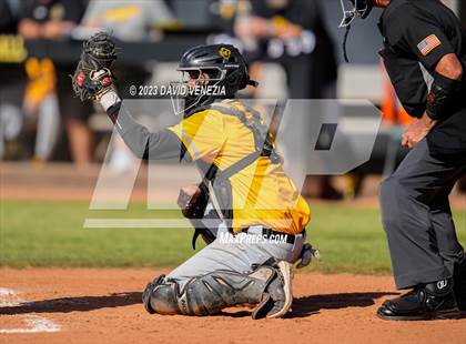 Thumbnail 3 in Marcos de Niza @ Saguaro  photogallery.