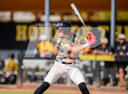 Thumbnail 1 in Marcos de Niza @ Saguaro  photogallery.