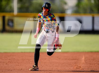 Thumbnail 2 in Marcos de Niza @ Saguaro  photogallery.