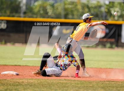 Thumbnail 3 in Marcos de Niza @ Saguaro  photogallery.