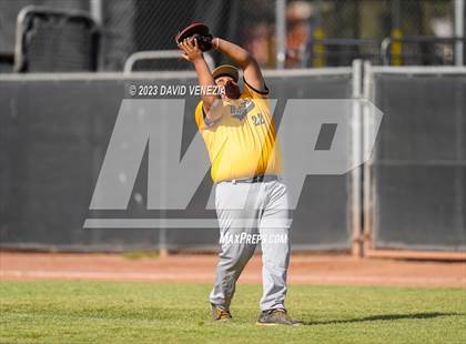 Thumbnail 2 in Marcos de Niza @ Saguaro  photogallery.