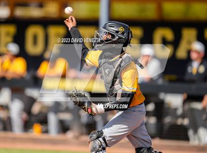 Thumbnail 3 in Marcos de Niza @ Saguaro  photogallery.