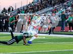Photo from the gallery "Brock @ Lake Worth"