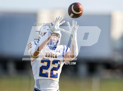 Thumbnail 2 in Brock @ Lake Worth photogallery.