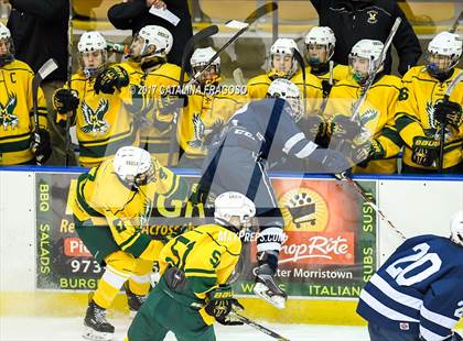 Thumbnail 2 in Randolph @ Morris Knolls (Mennen Cup) photogallery.