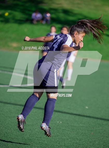 Thumbnail 1 in Stern vs Animo Watts photogallery.