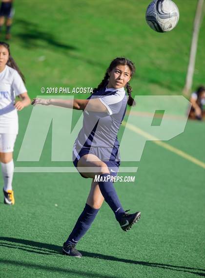 Thumbnail 3 in Stern vs Animo Watts photogallery.