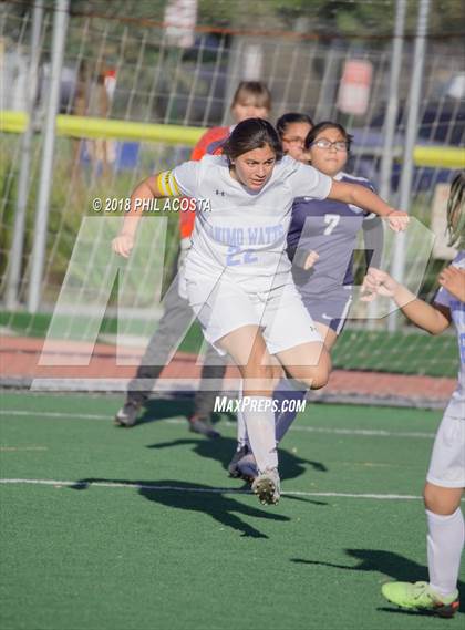 Thumbnail 1 in Stern vs Animo Watts photogallery.