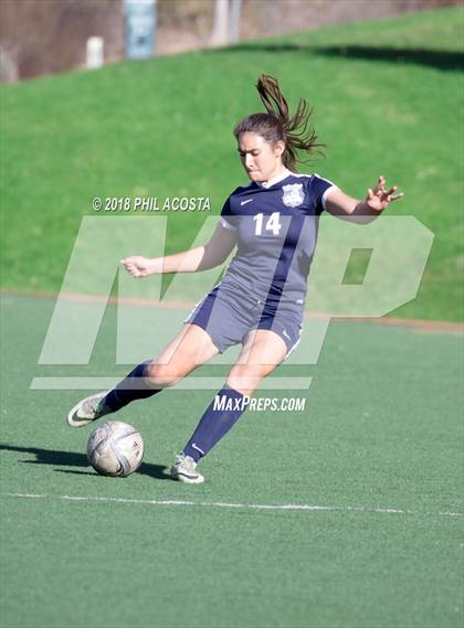 Thumbnail 1 in Stern vs Animo Watts photogallery.