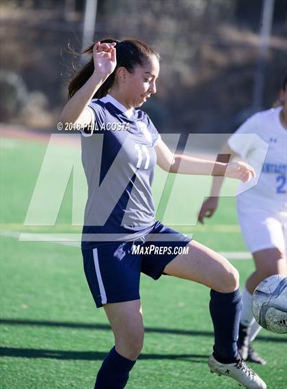 Thumbnail 2 in Stern vs Animo Watts photogallery.