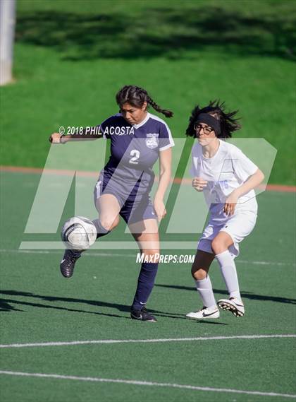 Thumbnail 2 in Stern vs Animo Watts photogallery.