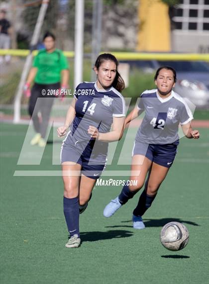 Thumbnail 2 in Stern vs Animo Watts photogallery.