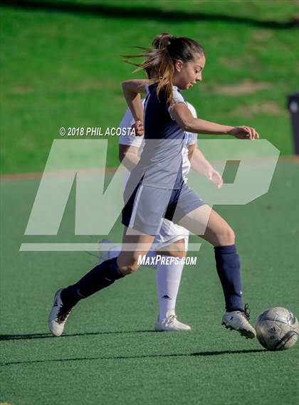 Thumbnail 1 in Stern vs Animo Watts photogallery.
