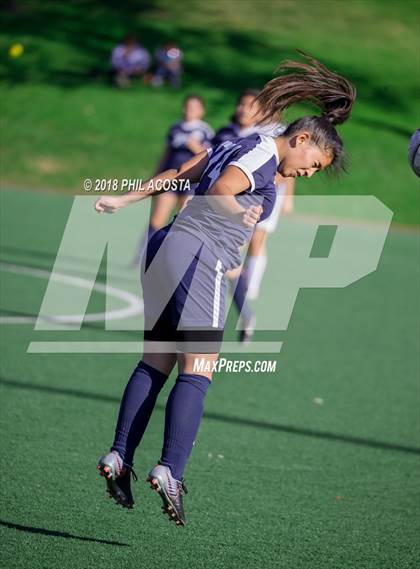 Thumbnail 3 in Stern vs Animo Watts photogallery.