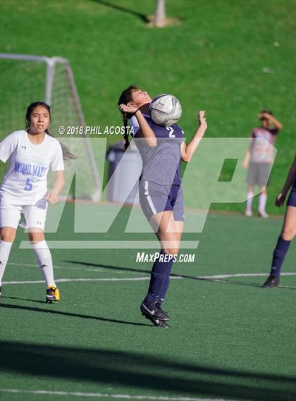 Thumbnail 1 in Stern vs Animo Watts photogallery.