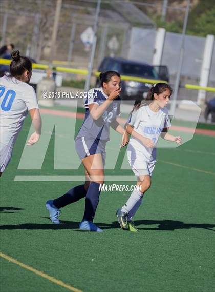 Thumbnail 2 in Stern vs Animo Watts photogallery.