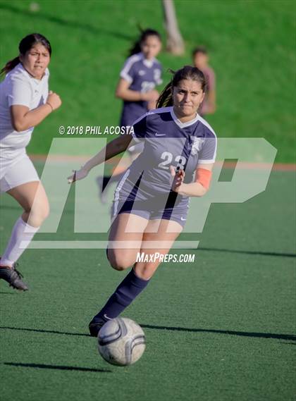 Thumbnail 3 in Stern vs Animo Watts photogallery.