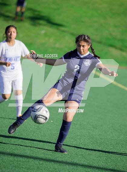 Thumbnail 1 in Stern vs Animo Watts photogallery.