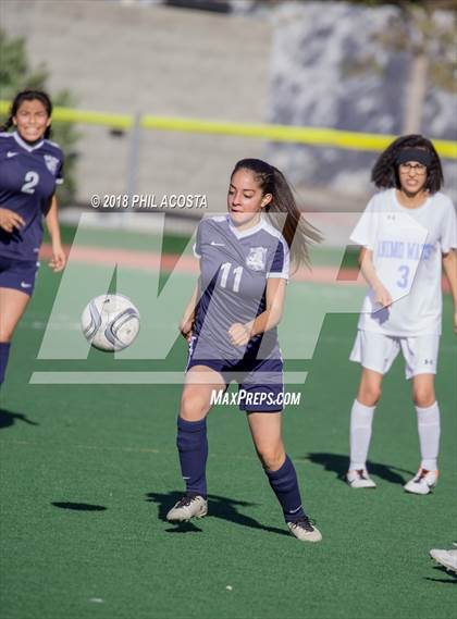 Thumbnail 3 in Stern vs Animo Watts photogallery.
