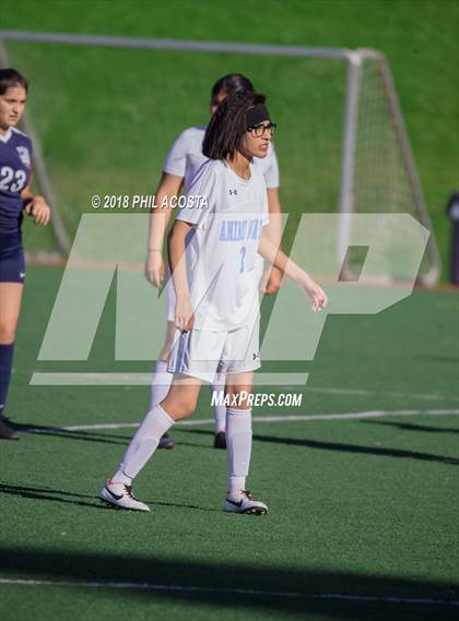 Thumbnail 2 in Stern vs Animo Watts photogallery.