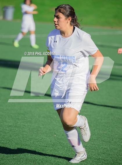 Thumbnail 3 in Stern vs Animo Watts photogallery.