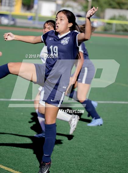 Thumbnail 1 in Stern vs Animo Watts photogallery.