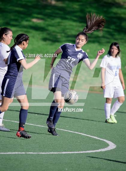 Thumbnail 2 in Stern vs Animo Watts photogallery.