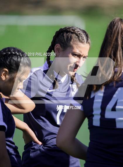 Thumbnail 2 in Stern vs Animo Watts photogallery.